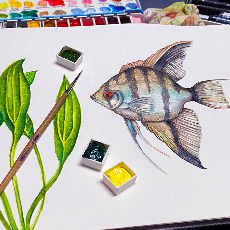 Prima Water Soluable Oil Pastels with Stamps – First Look & Impressions – K  Werner Design Blog
